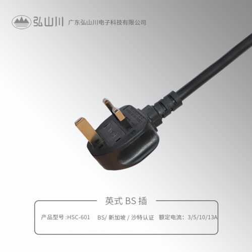 英國/沙特/新加坡/馬來西亞BS插 HSC-601